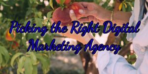 6 Awesome ways to Pick the right Digital Marketing Agency